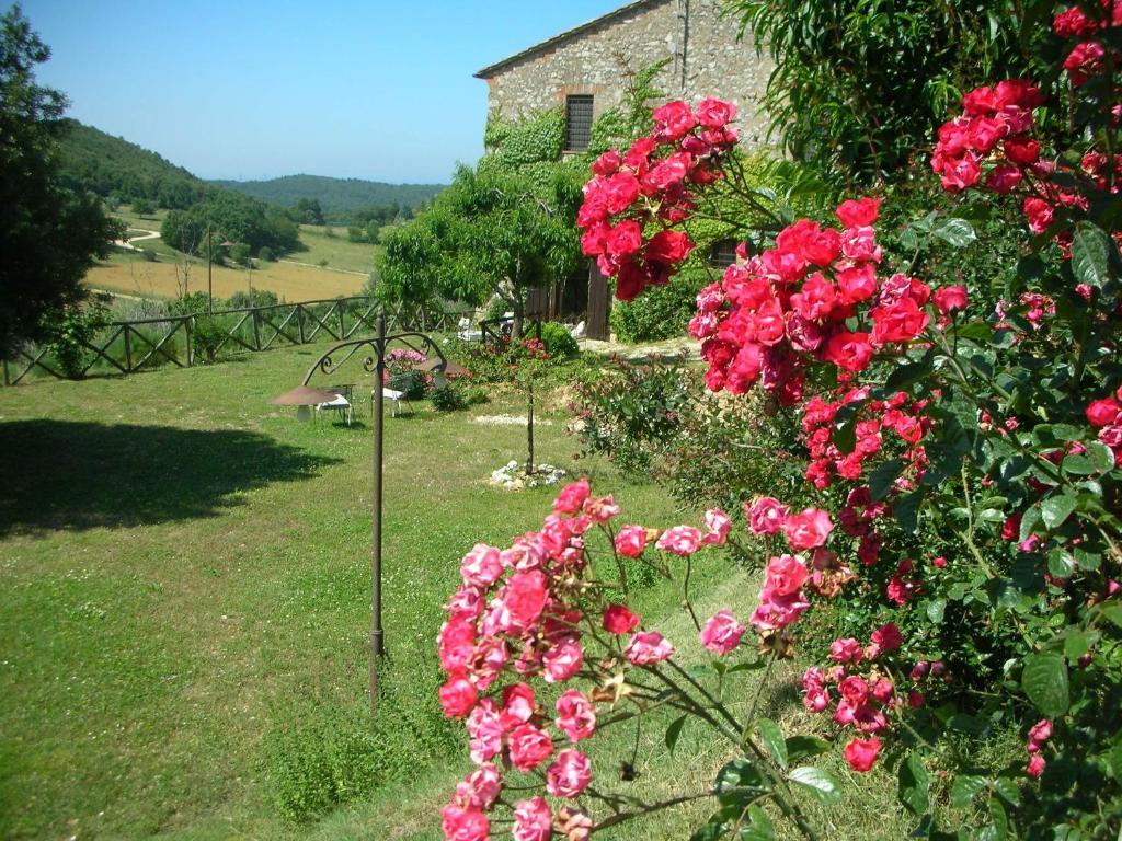 Podere Costa Romana Narni Exterior foto